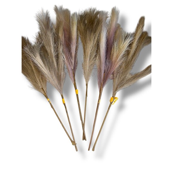 Faux Pampas Grass Fluffy Artificial Tall Stems Beige Boho 6 pcs 22 inches - Picture 3 of 16
